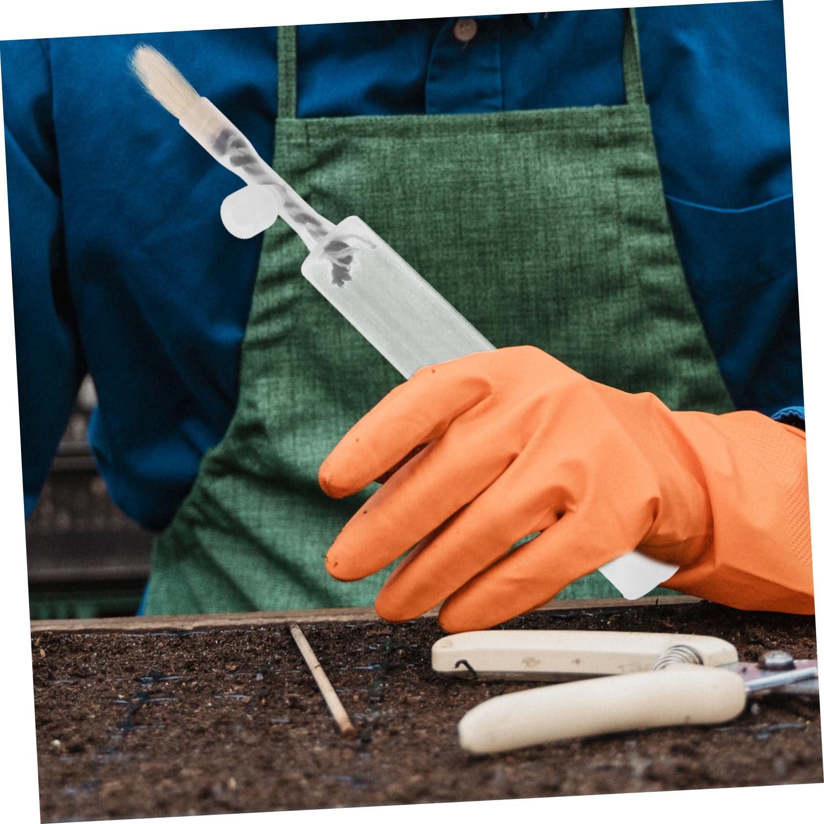 Abaodam 5 Ensembles Stylo Craie Pollinisateur De Fruits Et Légumes Pollinisateur De Plantes Jardinage Outil De Pollinisation des Fleurs Pollinisation De La Cour Plastique 2 Pièces * 5