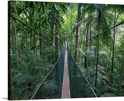 TIGTMULERLY suspended bridge the canopy walk at the deep