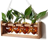 Vista 8 de Kit de terrario de plantas de corazón, regalo para mujeres, amantes de las plantas, jarrones de cristal