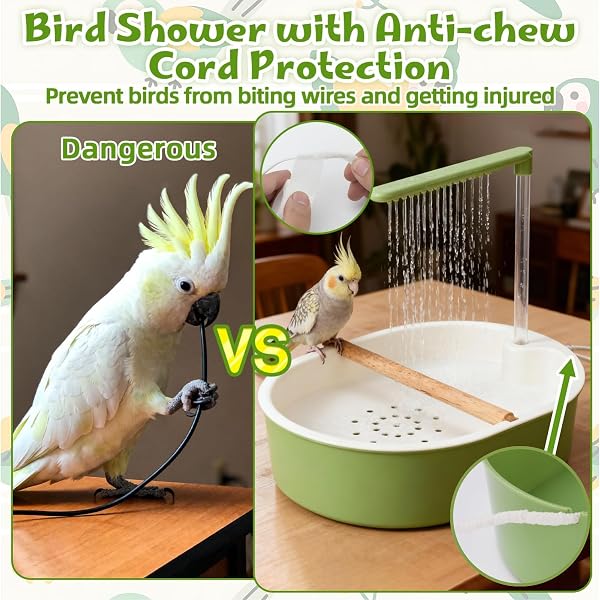 Vogelbad Vogeldusche Wellensittich – Automatische Wellensittich Dusche mit Wasserpumpe, Vogel Dusche & Vogeltränke, Badewanne für Dusche, Wellensittich Zubehör für Käfig Balkon Indoor Terrasse (Grün) - 3
