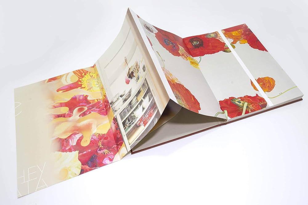 岩田壮平 画集　cycle Amazon.co.jp: 岩田壮平 画集 『 cycle 』【頁が蛇腹状に広がる