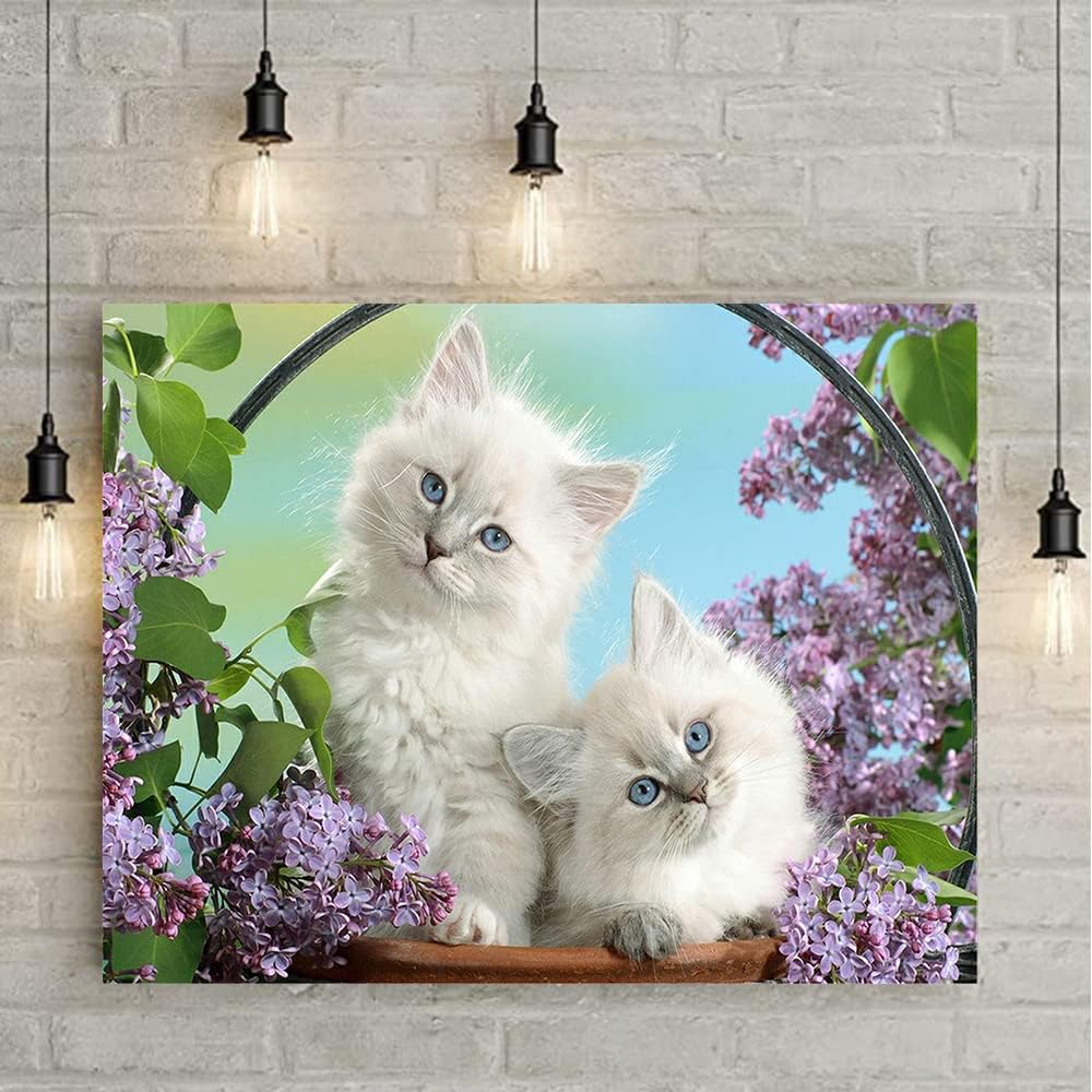 Diamante Quadrato 50x40cm gatti square diamond painting adulti amici