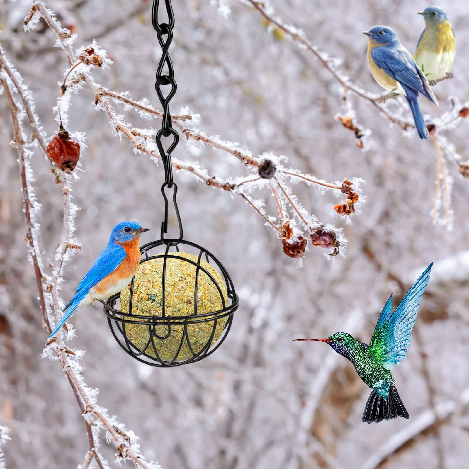 Vogelfutterspender-Ständer – 232 Cm Hoch, Metall, Mit Eichhörnchenschutz