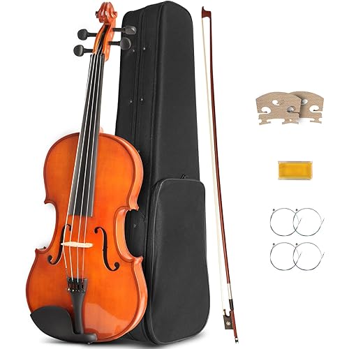 Acoustic Violin, 4/4 Full Size Violin Starter Kit for Student Beginners, Natural Varnish Fiddle Stringed Musical Instrument with Case, Bow, Rosin, Bridge, Extra Strings