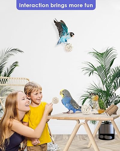 Miniatura 6 de Bissap 7 piezas de juguetes de loros pequeños, bolas de sol naturales para corteza, palitos de sola, loros, masticables, forraje, bolas de pie de