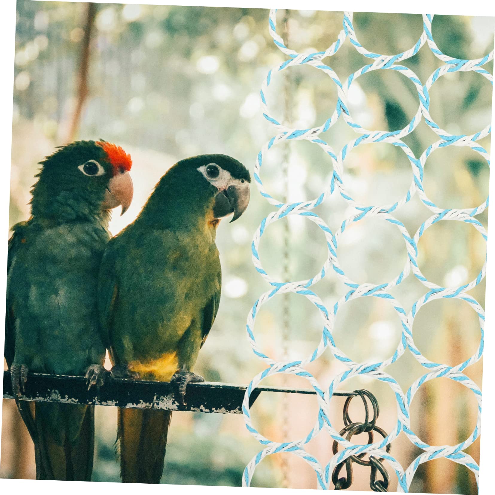 Mipcase 2stücke Hängendes Vogelspielzeug Für Wellensittiche Und Papageien Buntes Kletternetz Für Vögel Langlebig Und Leicht Zu Installieren Sorgt Für Unterhaltung Und Im Käfig