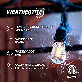 Brightech Ambience Pro - Waterproof LED Outdoor String Lights - Hanging, Dimmable 2W Vintage Edison Bulbs - 48 Ft Commercial Grade Patio Lights Create Cafe Ambience in Your Backyard