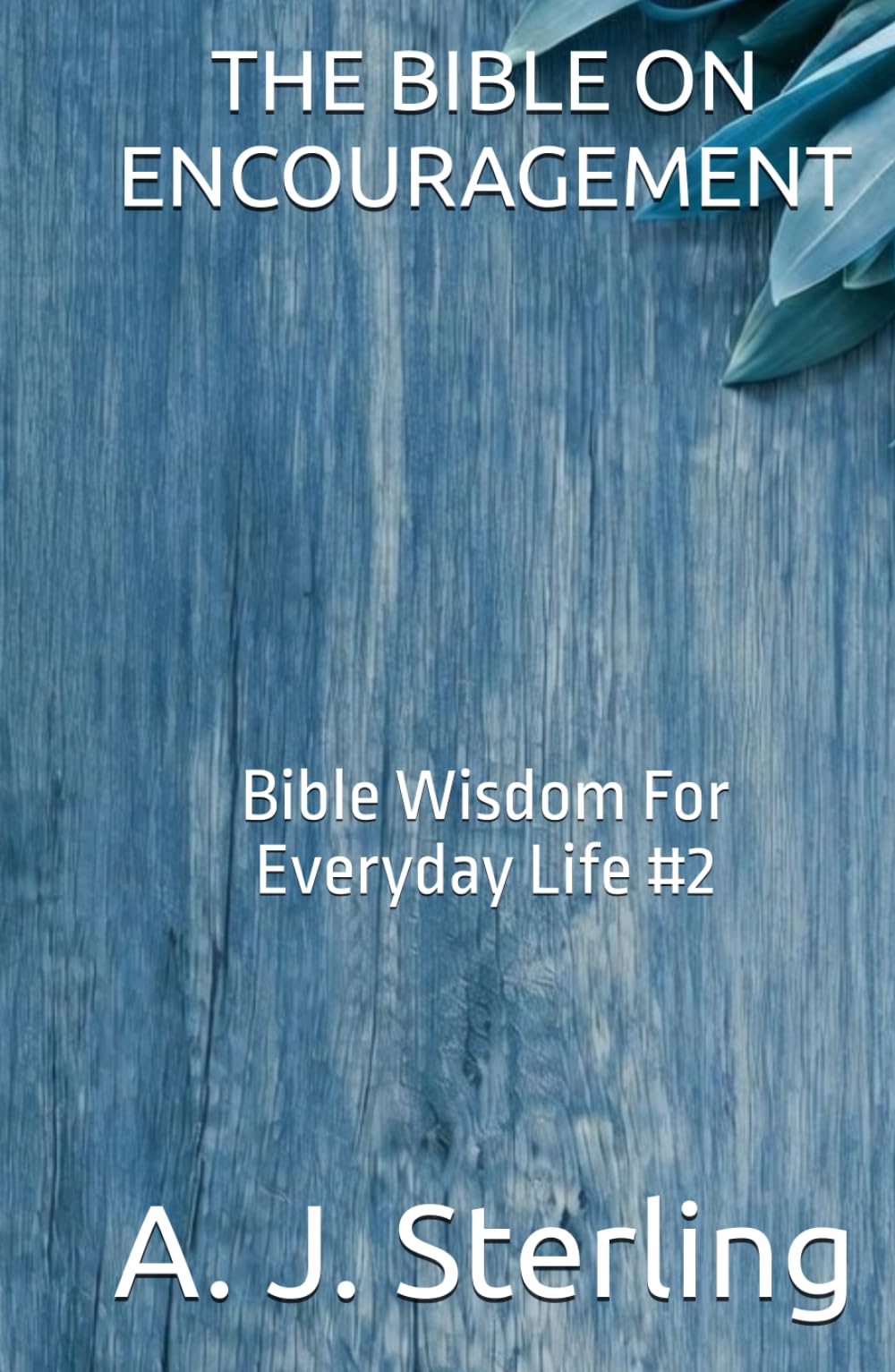 THE BIBLE ON ENCOURAGEMENT: Bible Wisdom For Everyday Life #2