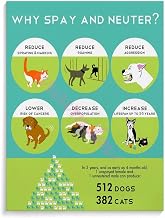 The Benefits of Pet Neutering Poster Pet Hospital Poster Canvas Painting Wall Art Poster for Bedroom Living Room Decor 8x10inch(20x26cm) Frame-style