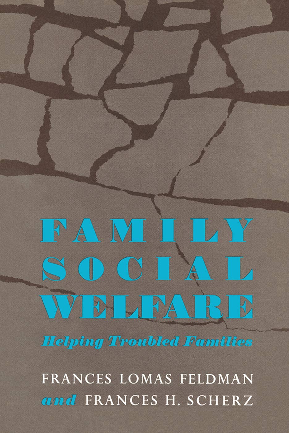 Buy Family Social Welfare: Helping Troubled Families — BookShops.in