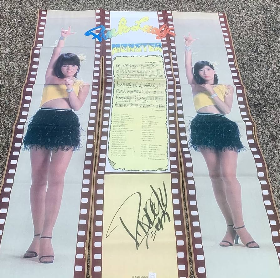 Amazon.co.jp: 昭和 レトロ アイドル ピンクレディ モンスター