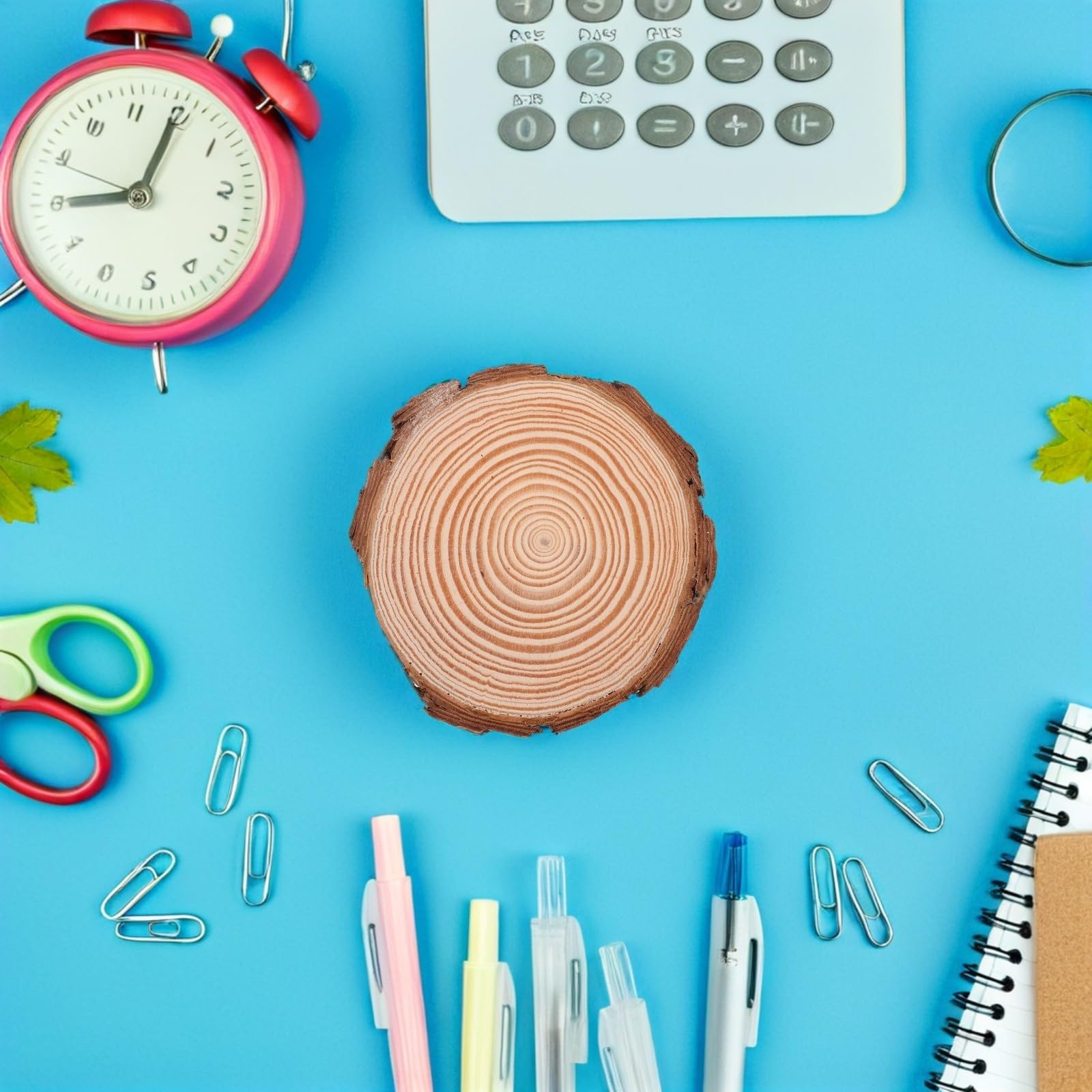 20 Runde Holzscheiben aus Kiefer für Kinder, Basteln und Malen | Naturbelassen, 11cm Durchmesser, 20 Stück, Rustikale Deko für Hochzeiten und Heimprojekte