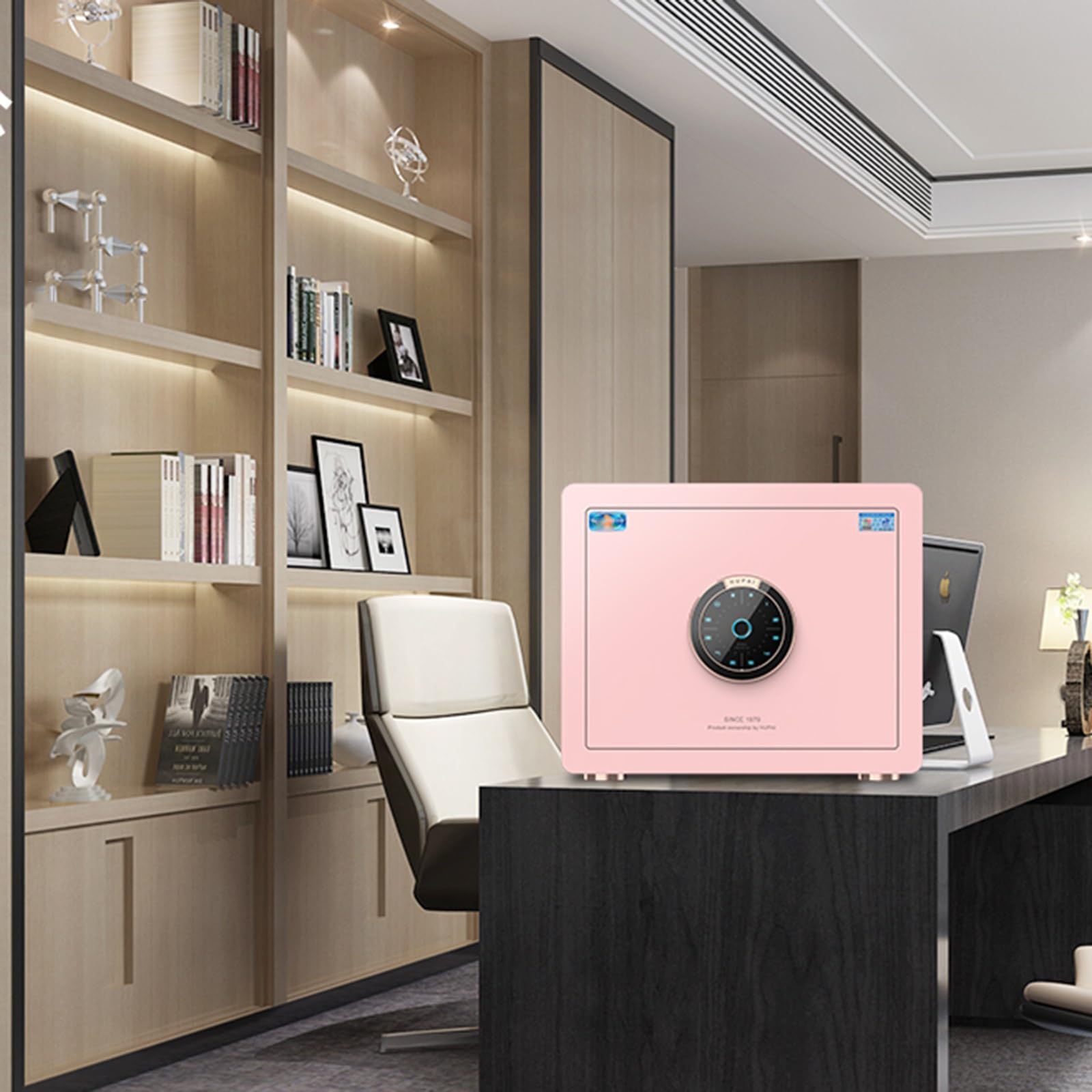 Cassaforte per impronte digitali e password, 30 cm, per casa, ufficio, soggiorno, camera da letto, cassaforte compatta per oggetti di valore e documenti importanti