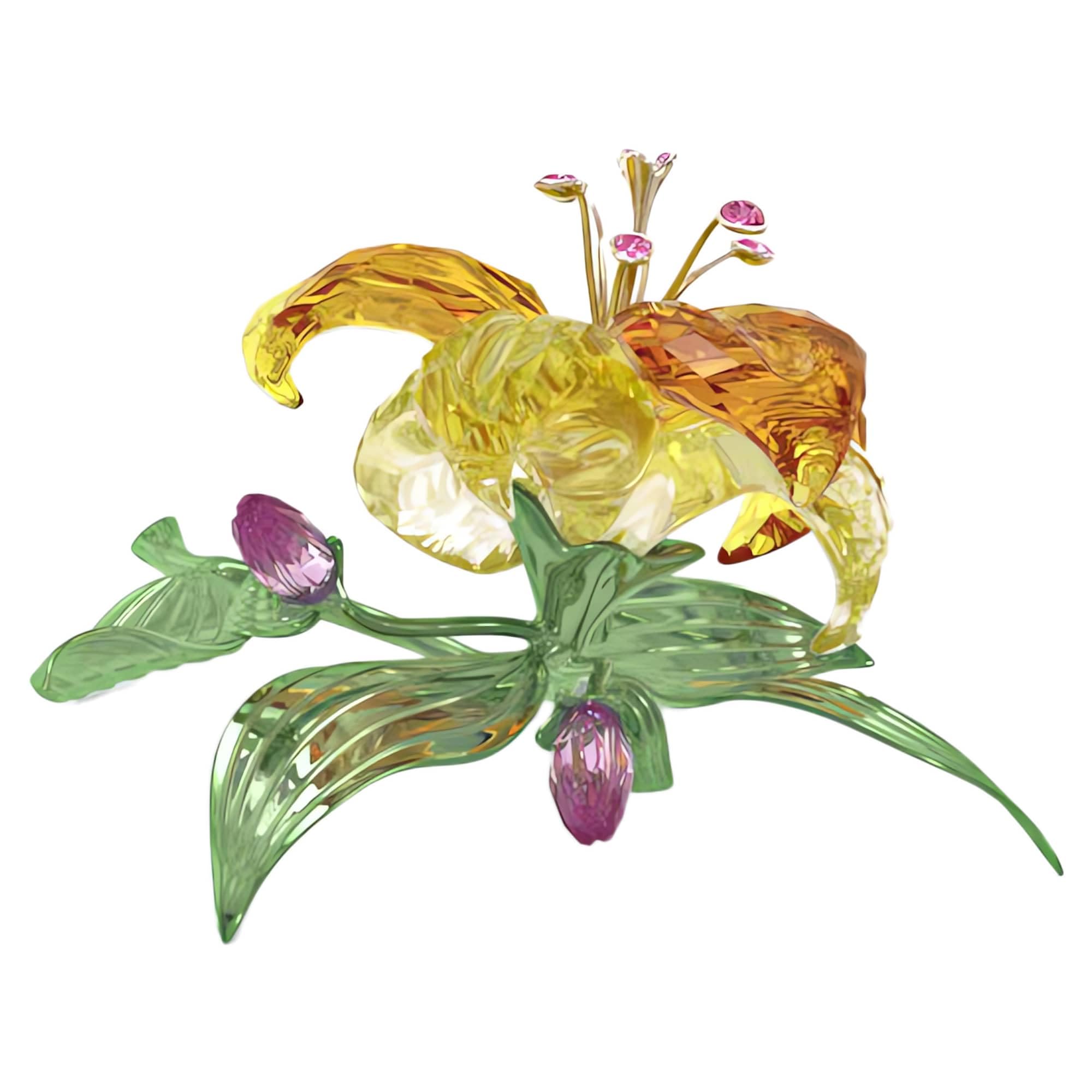 Amazon.com: Florere Lily Large : Home & Kitchen