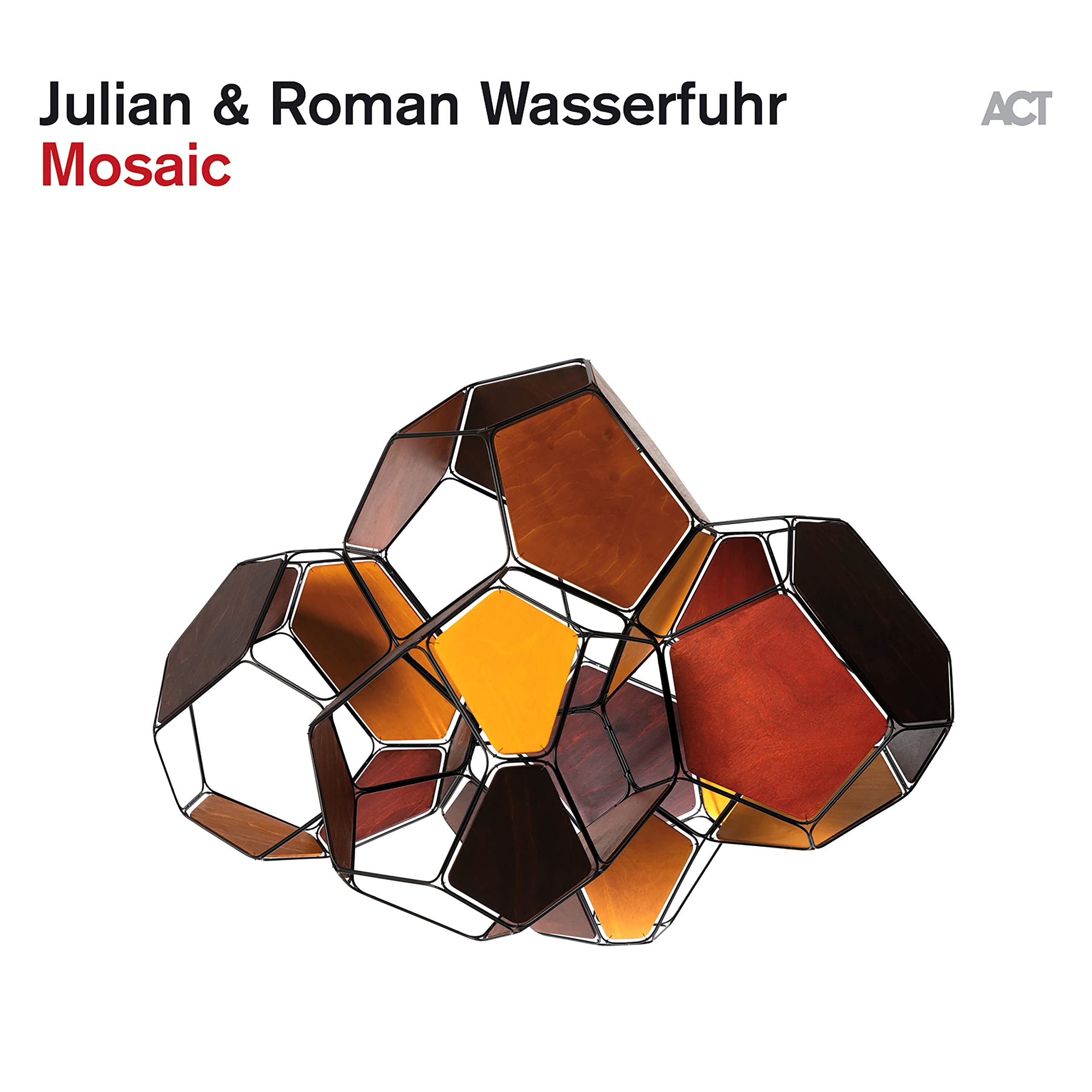 Julian and Roman Wasserfuhr Mosaic LP Vinyl NEW