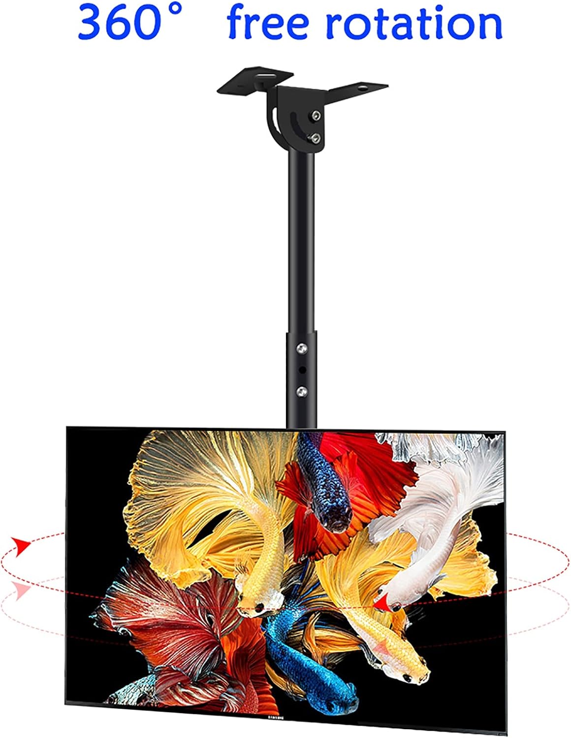 早い者勝ち】クルセイド 宇宙海賊 最高レアリティ サインフルコンプ