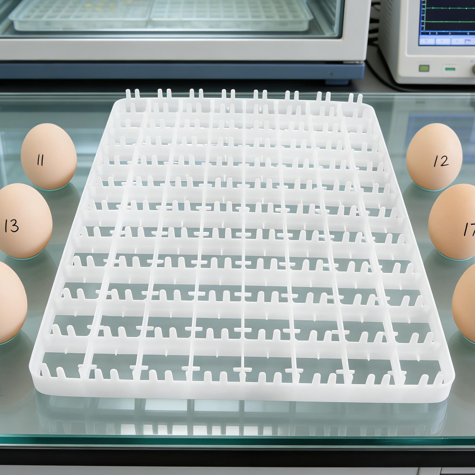Vassoio per Incubatrice Uova di Pollo 2 Pezzi Plastica 88
