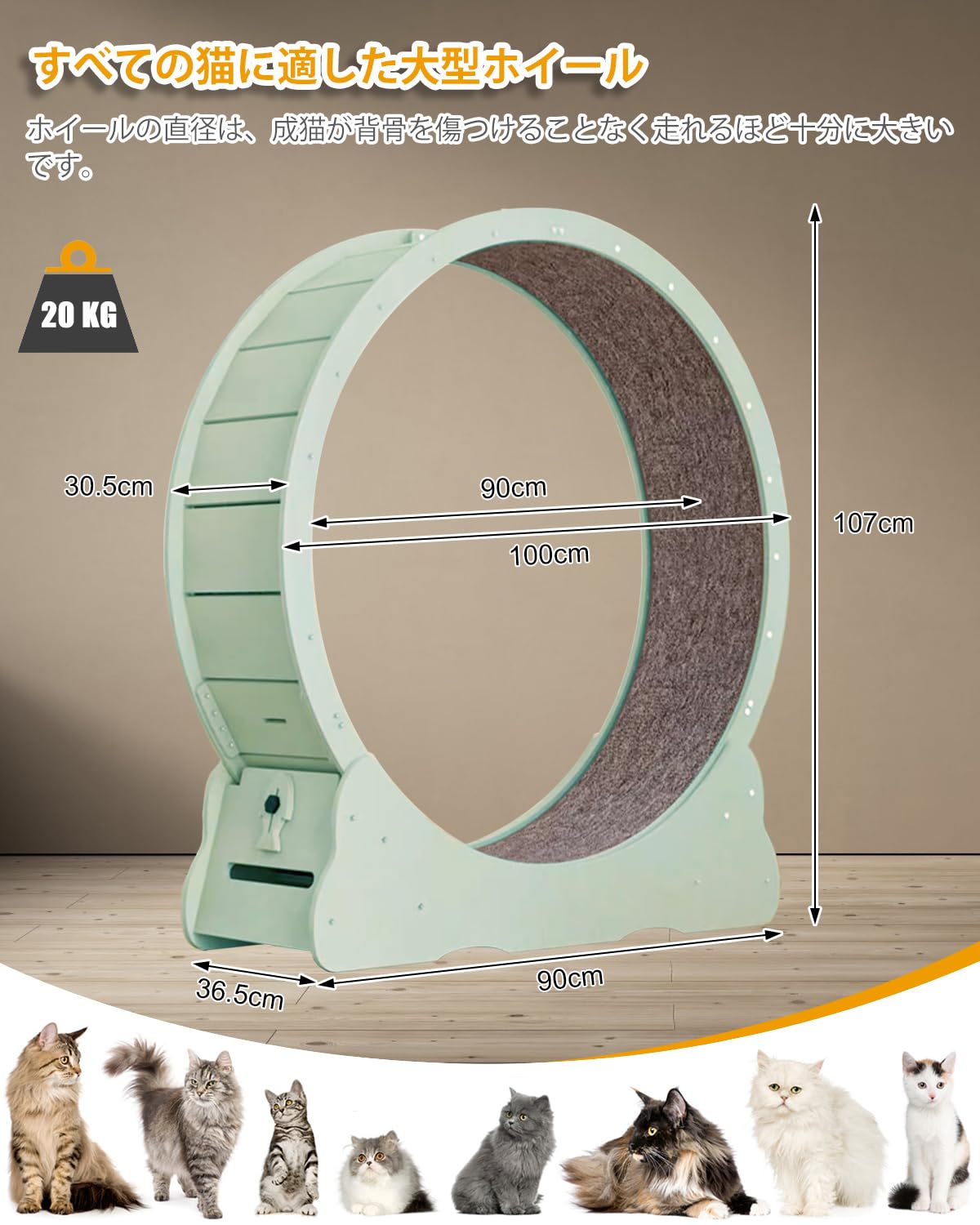 Amazon.co.jp: MIWOOYY キャットホイール 大型猫 回し車 100cm - 屋内