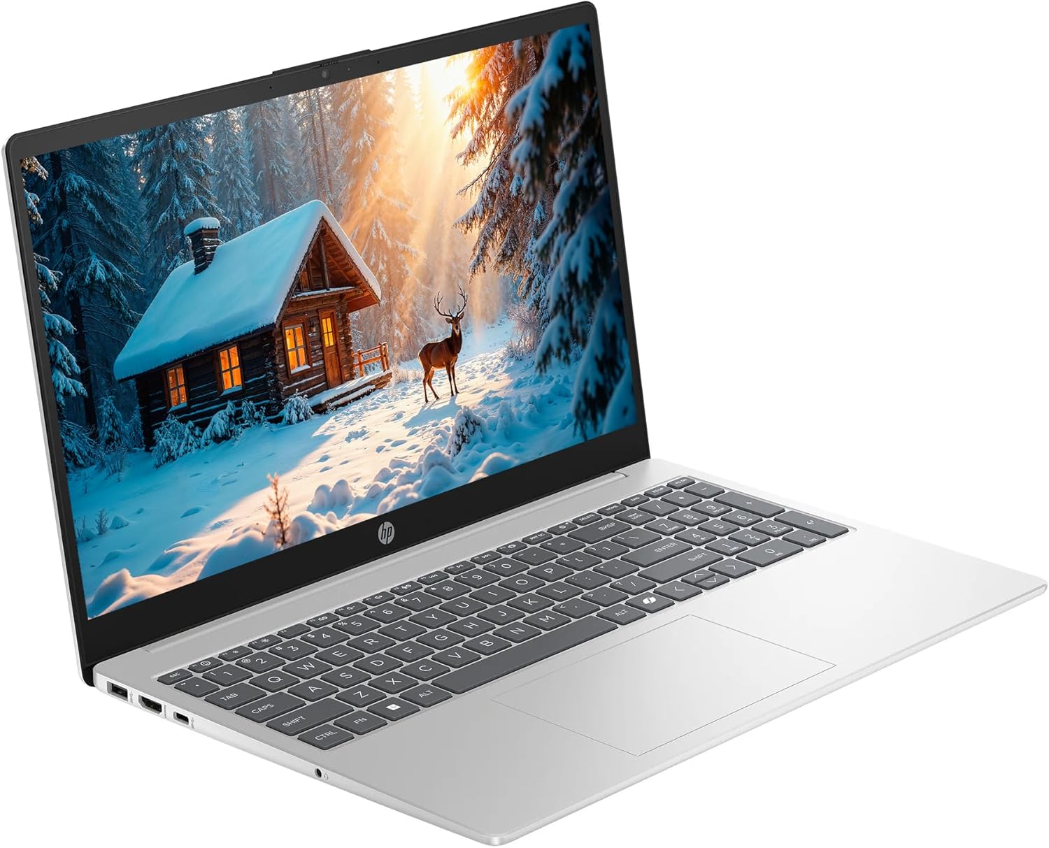 HP 15.6" Business Laptop Computer with Microsoft 365, 32GB RAM 640GB Storage (128GB SSD + 512GB External), Windows 11, Intel N200, SageNova Earphones & Docking Station, Natural Silver image 3