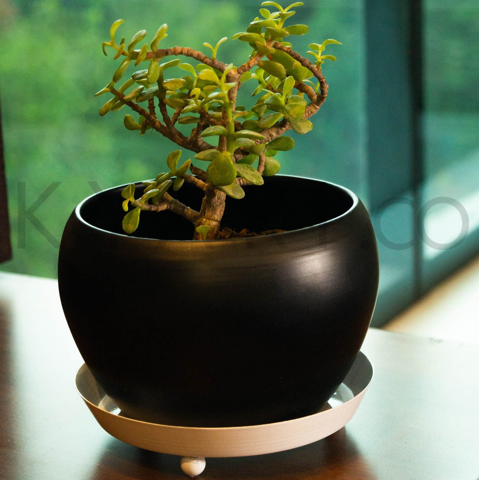KYARI Scandinavian Metal Pots for Indoor Plants with Drainage Hole & Stand (Best Flower Pots & Planters for Home Decor, Living Room, Kitchen, Bedroom, Table Top, Office, Gifting, White, Pack of 1) (B09SLVVGGK) Amazon Price History, Amazon Price Tracker