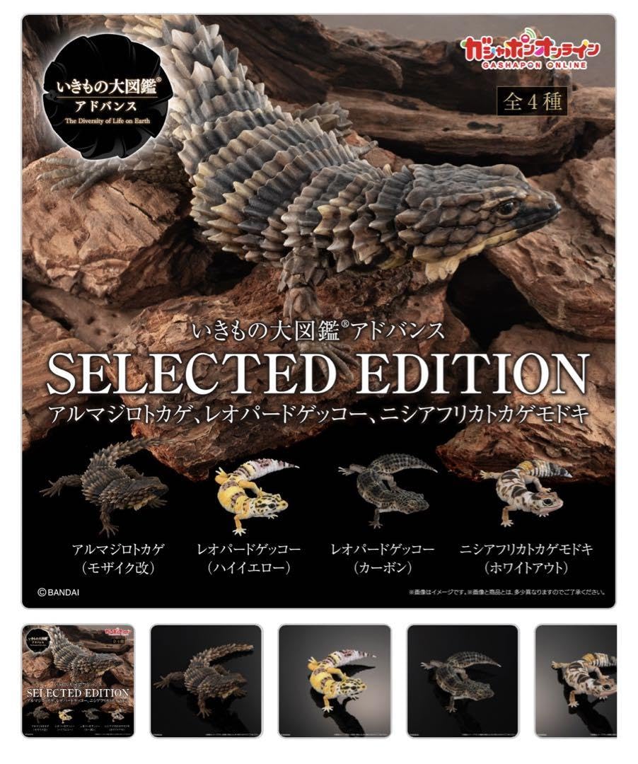 Amazon.co.jp: いきもの大図鑑 アドバンス Selected Edition 全4種 