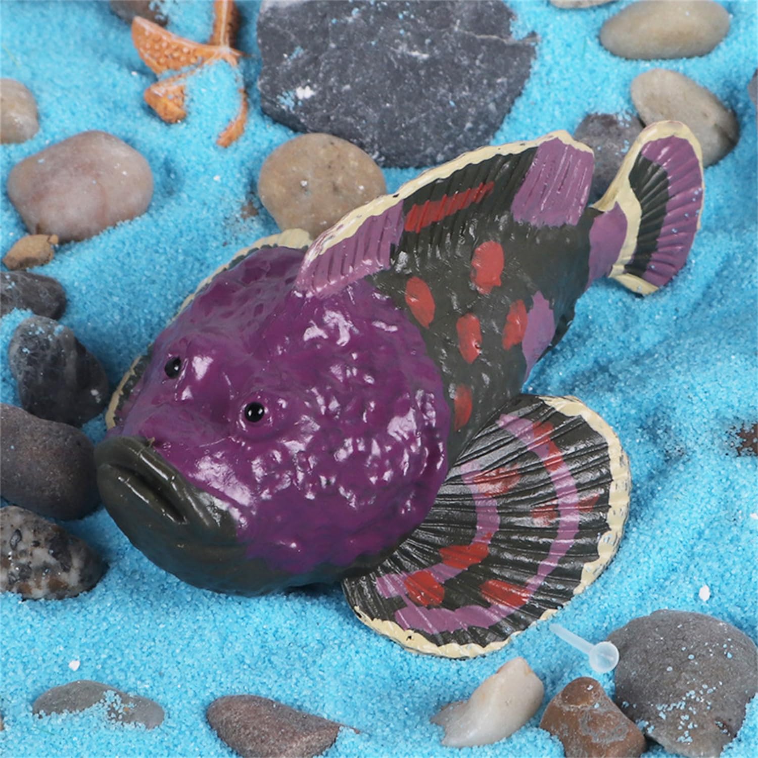 Amazon | EUHELOPA 魚 フィギュア 自然認知 現実的 海洋動物 リアル