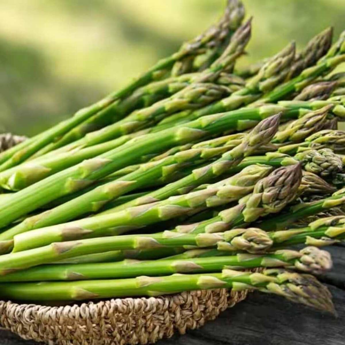 Asparagus Seeds for Garden, Exotic Green Variety, Fresh Growing Plants-image-13