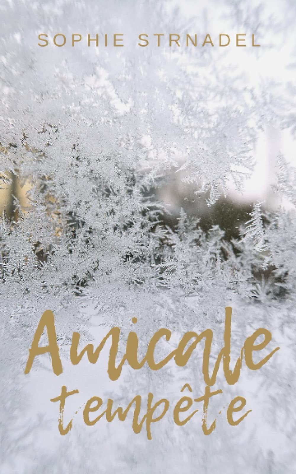 Amicale tempête (French Edition)