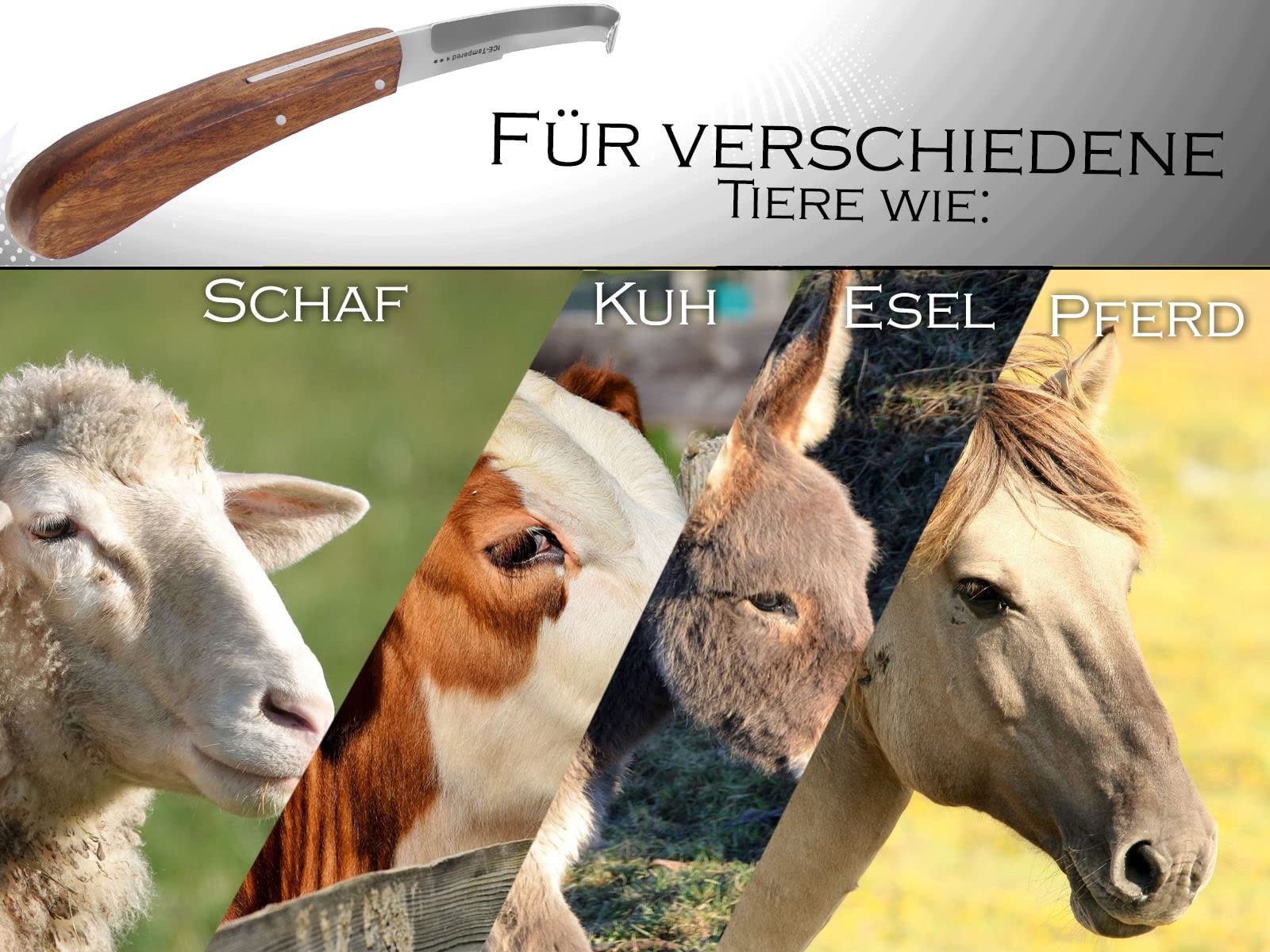 Profi Hufmesser 2er Set für Pferde Beidseitig Scharfe Klingen Dünn und Breit Klauenmesser Rinnmesser Rinder Hufpflege Hufschmied Werkzeug mit gebogenen Haken Spezialstahl Rostfrei Ergonomischer Griff