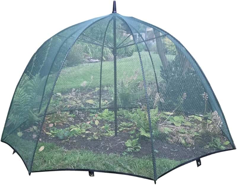 Amazon.co.uk Plant Cloche