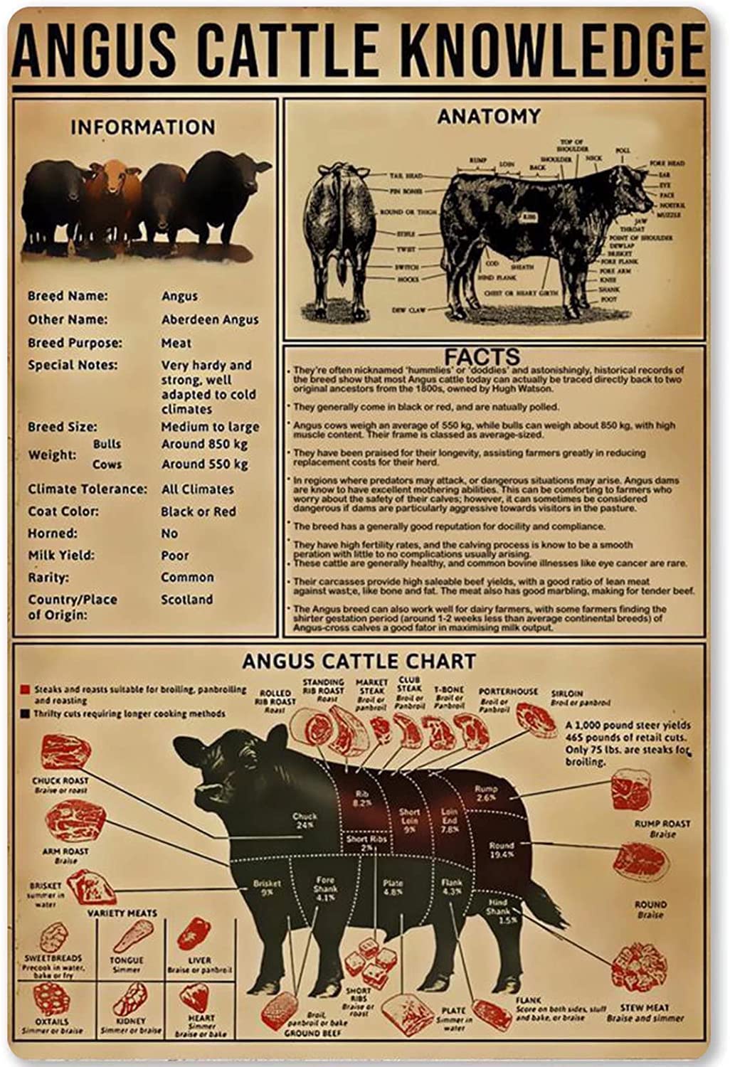 Peiyeety Angus Cattle Knowledge Metal Signs Vintage Angus Cattle Chart Plaques Herdsman Study Guide Retro Poster Decor Home Farmhouse Farm Wall Art 8X12 Inch