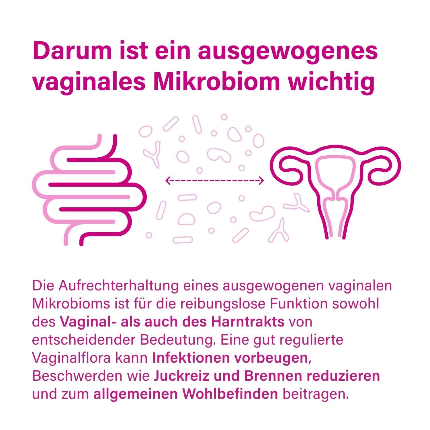 Nupure® Lacto Intim Milchsäurebakterien für Scheide, Zur Regulierung von Vaginalbakterien, Plus Biotin für die Schleimhäute, Orale Einnahme, Vaginal Probiotics, 60 Kapseln, Vegan, laktosefrei.