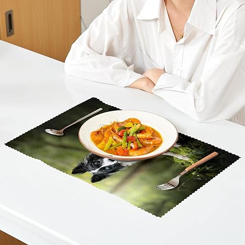 Miniatura 6 de Placemats, Durable Placemats for Dining Table,Washable Kitchen Placemats, Dog Animal Border Collie