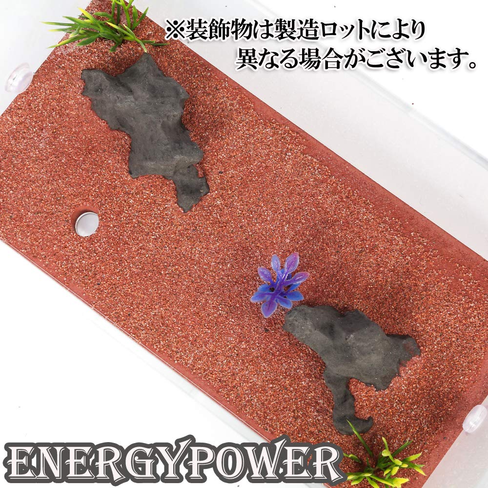 Amazon | 【ハイグレード】EnergyPower モルタル製アリ巣箱 2層