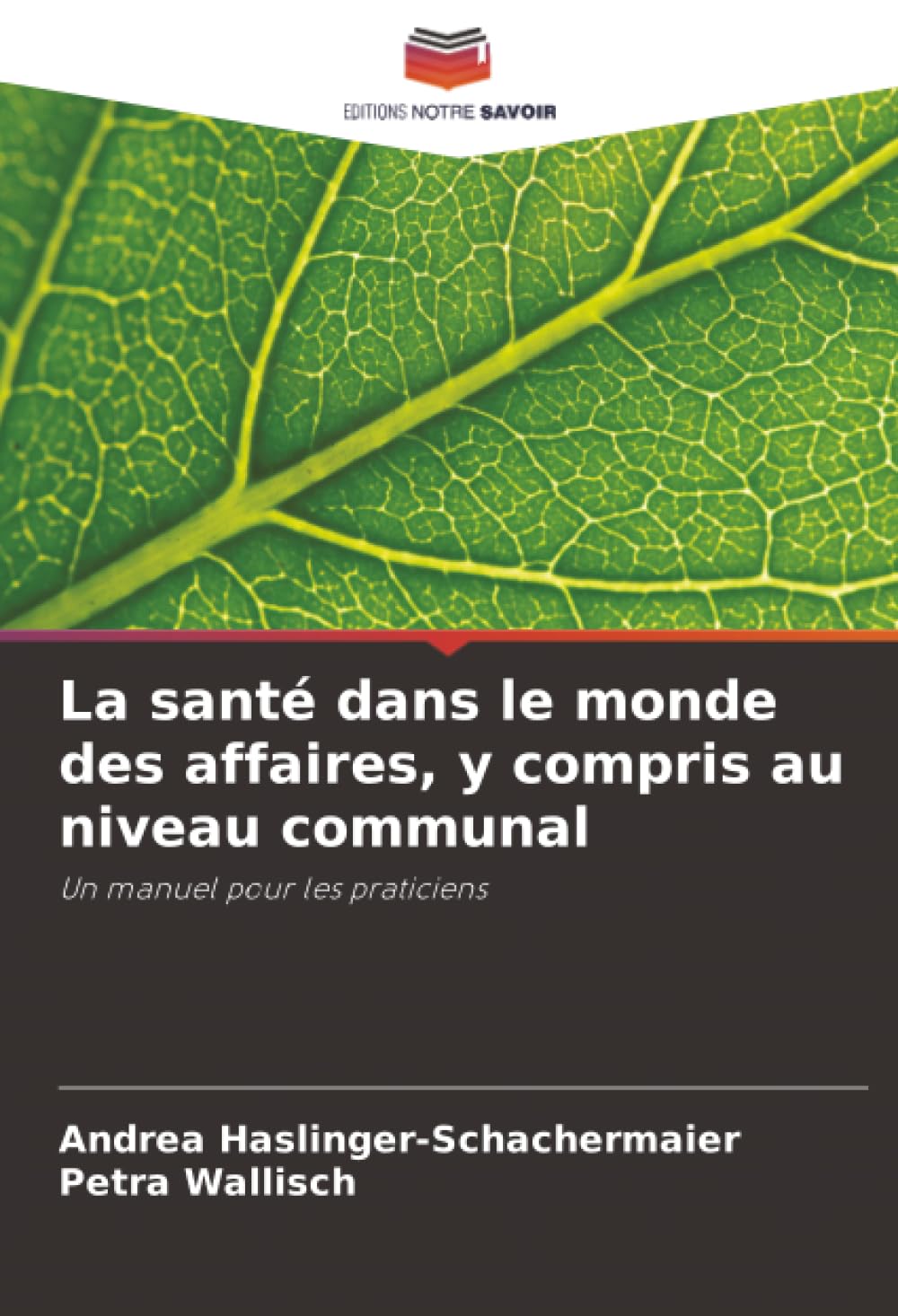La santé dans le monde des affaires, y compris au niveau communal: Un manuel pour les praticiens