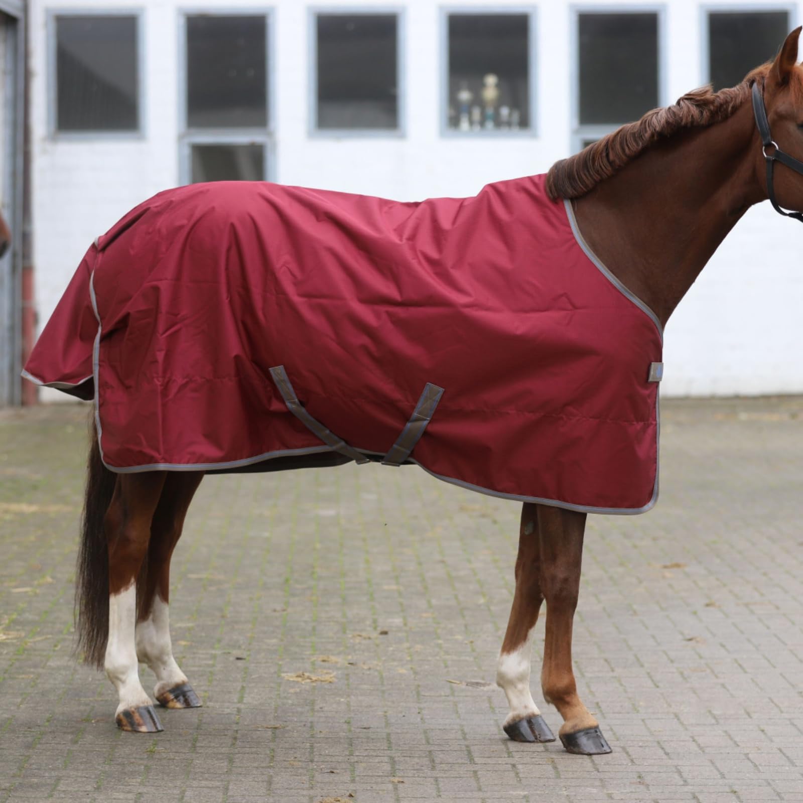 Marengos by Bucas - Weidedecke Freedom Turnout 600D – Regendecke & Übergangsdecke – wasserdichte Pferdedecke mit Innenfutter & Kreuzbegurtung – Weinrot/Dunkelblau – 155cm (ohne Füllung)
