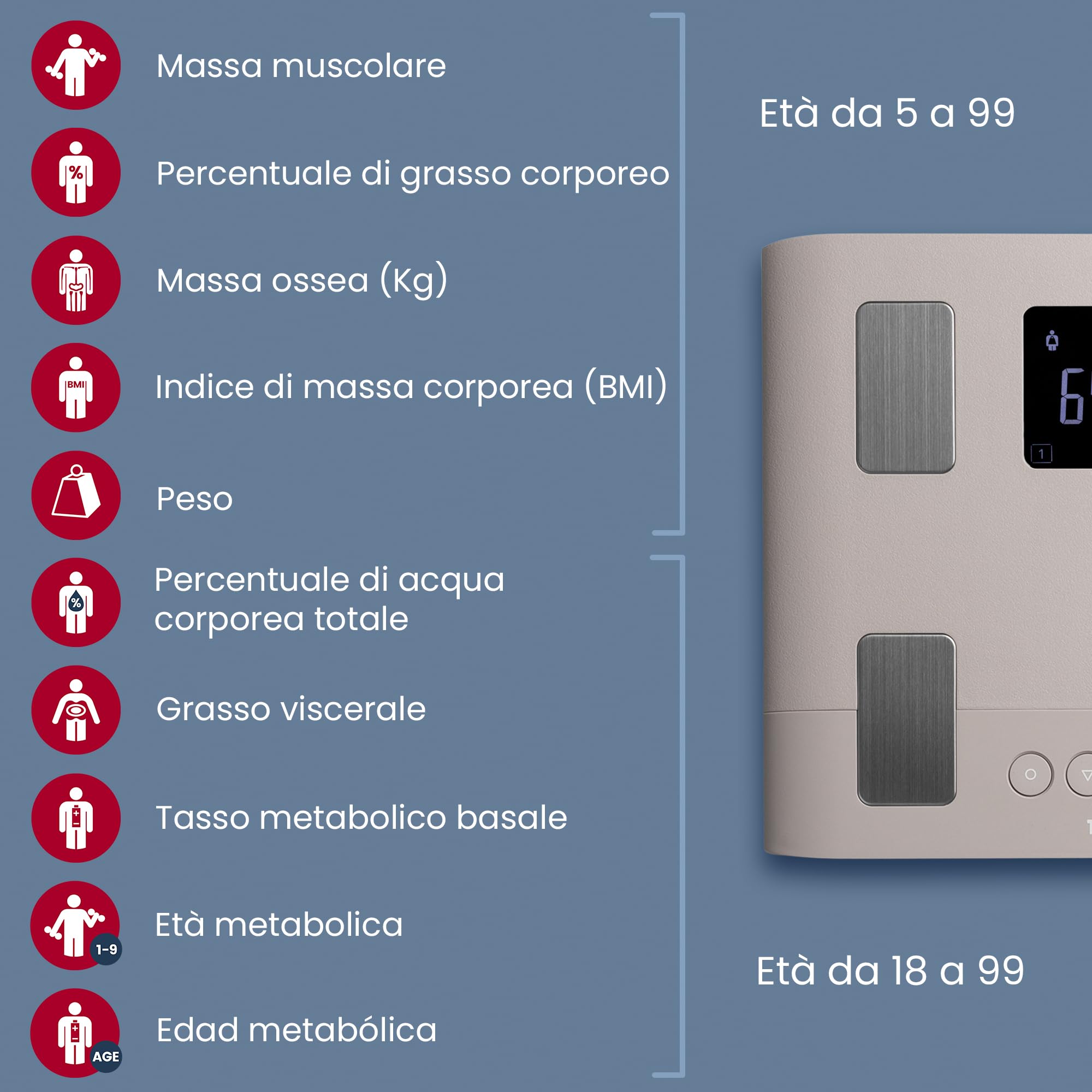 TANITA BC-333LE - Bilancia di analisi del corpo intelligente per tutta la famiglia, favorisce un'immagine positiva del corpo