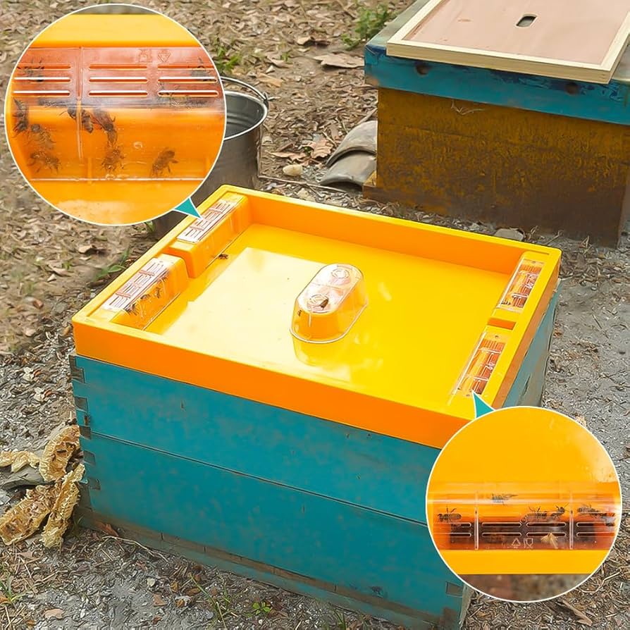 BEE-HIVE フライヤー CTFXSMSHX2ZH12ZO0V0-_3_-