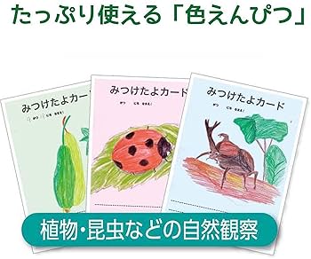 Amazon.co.jp: ぺんてる クレヨン色えんぴつ パスティック GC1