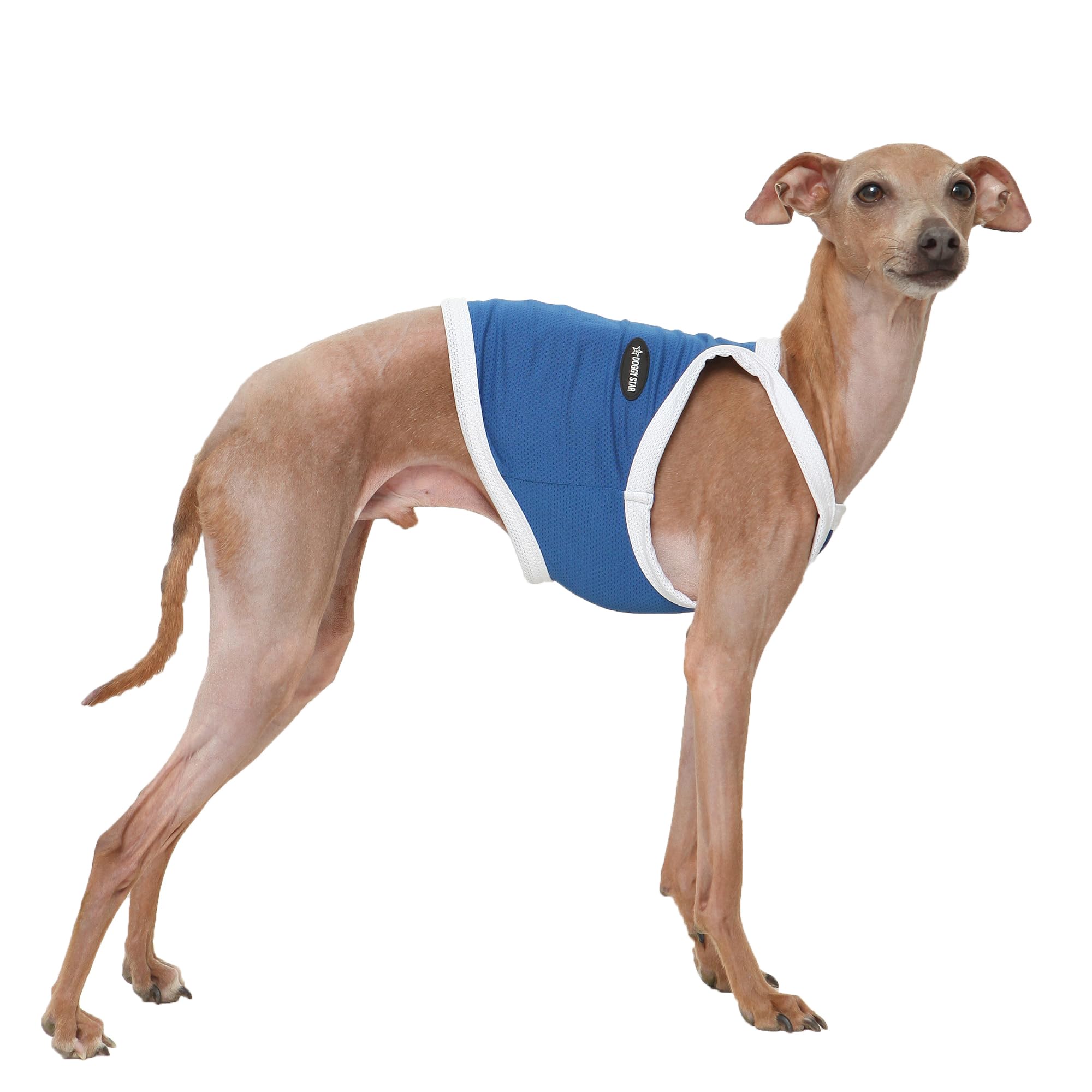 D Doggy Star Italian Greyhound Clothes Summer Cooling String Sleeveless Crop Top T Shirt Whippet for Dog (S,Camisole Blue) — image 1