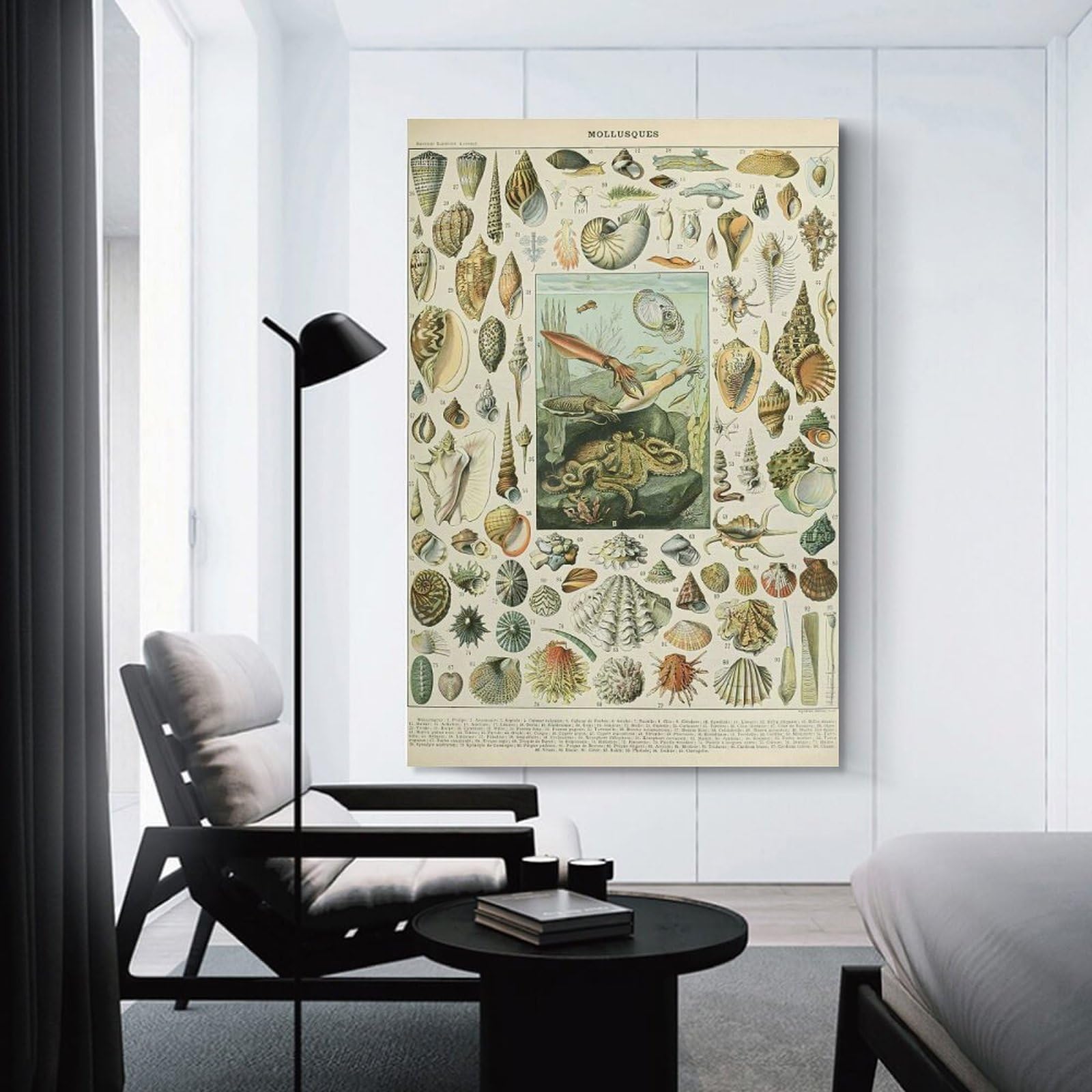 Junmoney Vintage Mollusques Wall Art Print, 24x36inch(60x90cm), for Front Hall, Corridor Or Welcome Spaces, Wall Decor to Refresh Empty Corners