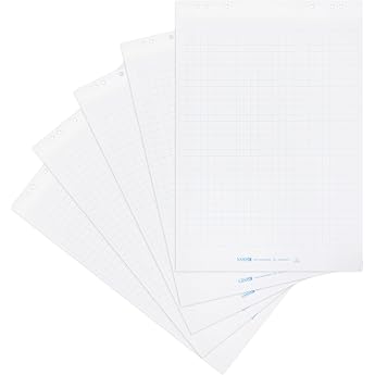 Landr  Flipchart Paper Squared 20 Sheets per Pad 6 Holes Pack of 5
