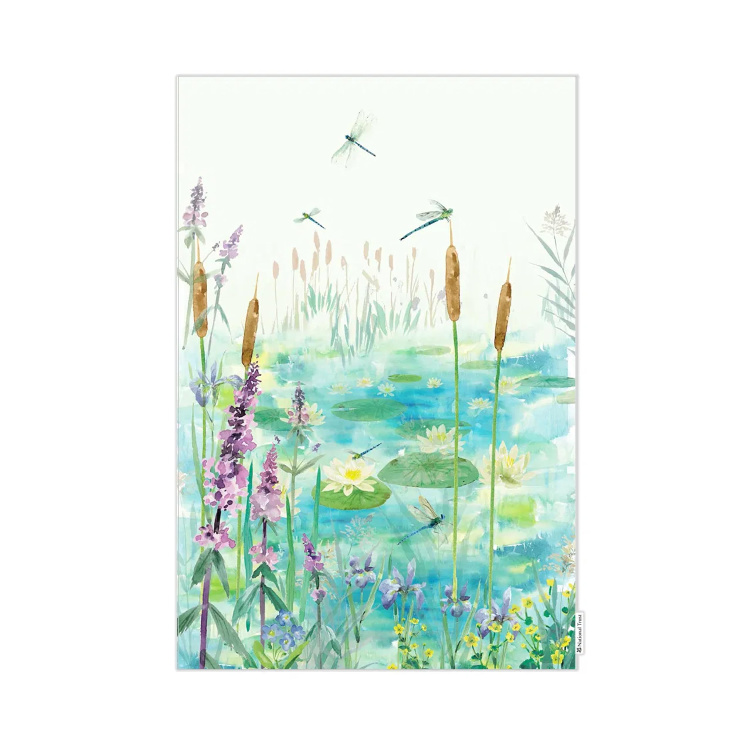 Eddingtons Multicoloured Dragonflies Patterned Organic Cotton Tea Towel/Dish Cloth - Eco-Friendly National Trust Nature Collection Kitchen Linens