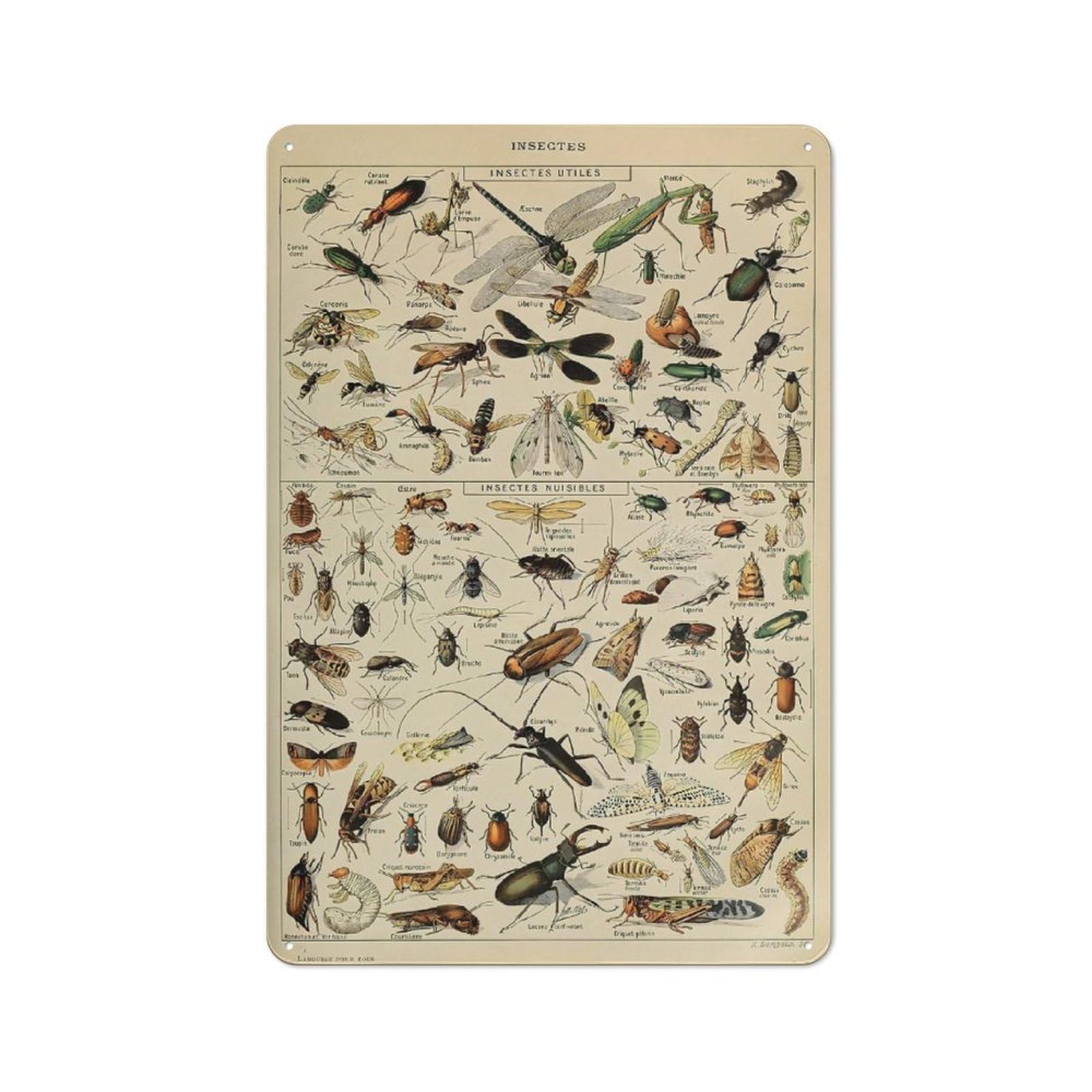 Junmoney Style-7 Adolphe Millot Insect Vintage Metal Sign 30X20cm, Shop Front Style Cafe Wall Decor For Takeaway, Bar, Kitchen Or Counter Area