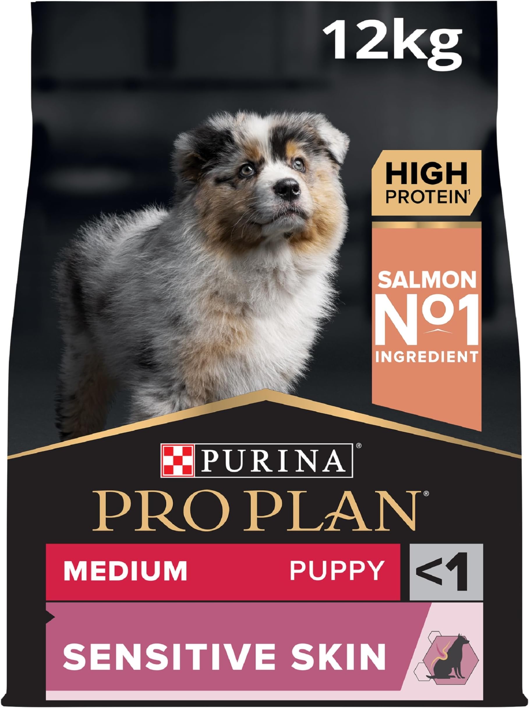 Medium Puppy Sensitive Skin Dry Dog Food with Salmon 12kg