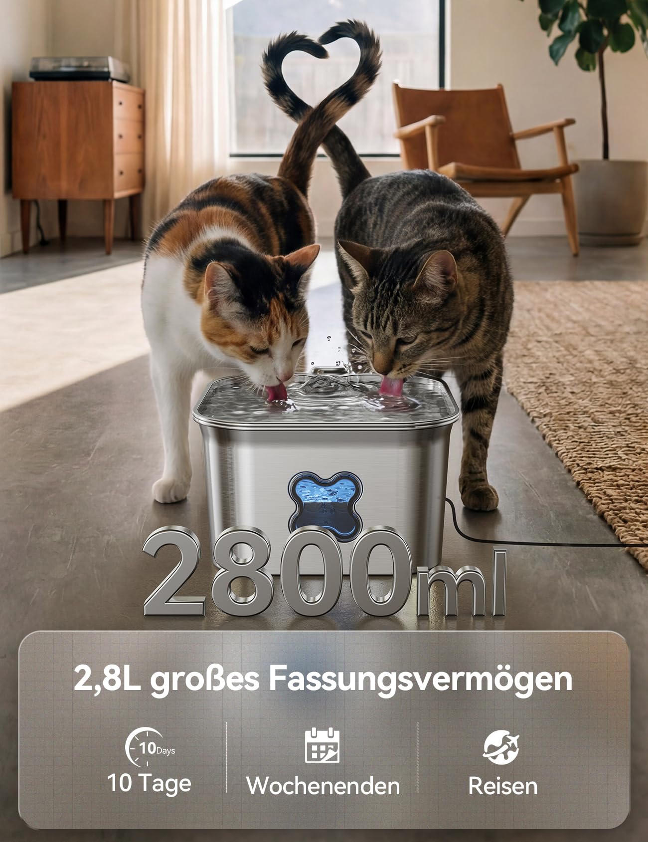 FEELNEEDY Katzenbrunnen Edelstahl, 2,8L Trinkbrunnen für Katze mit Kabel, Einfach zu Reinigen, katzenbrunnen mit Vierfaches Filtersystem & LED-Licht, Ultraleise, Spülmaschinenfest