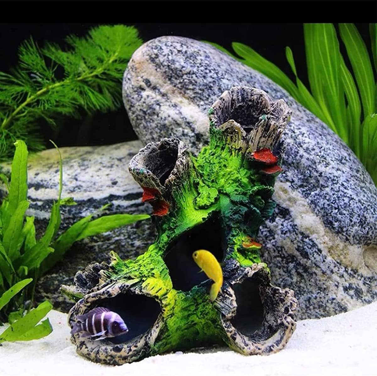 Décoration Aquarium en Résine - Grotte et Cachette pour Poisson (Reproduction, Jeu, Repos) - Ornement Sécure pour Aquarium Communautaire