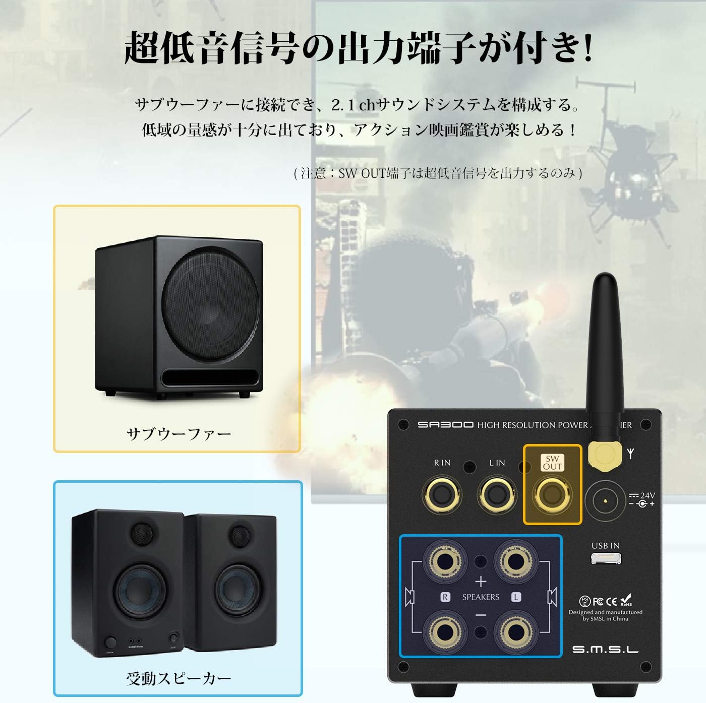 SMSL SA300 Subwoofer Output