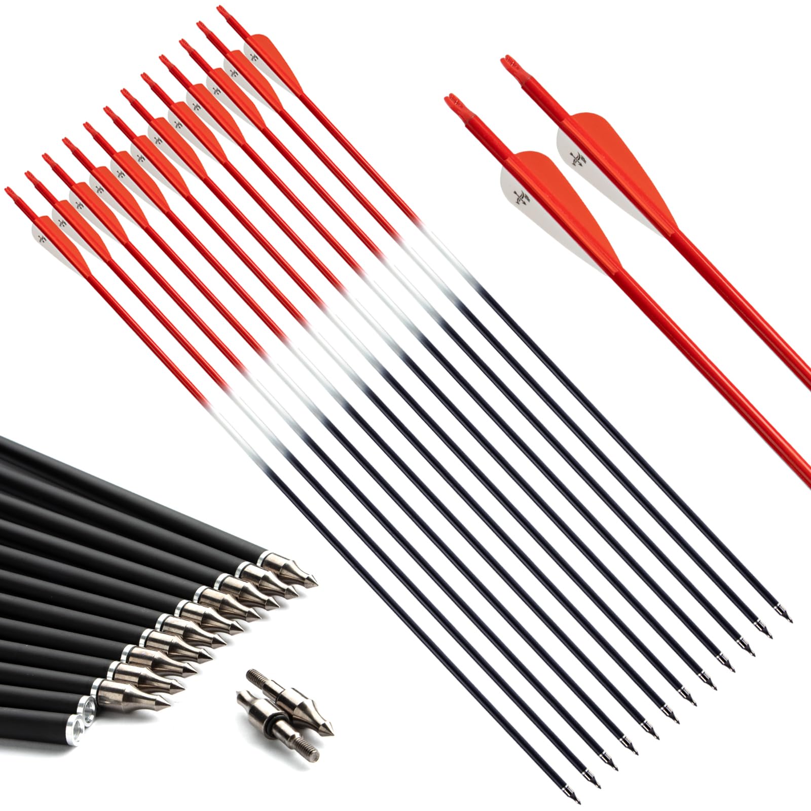 S F Flèches de Chasse d'entraînement en Carbone Spine 500 pour arcs à poulies et arcs Classiques (Pack de 12)