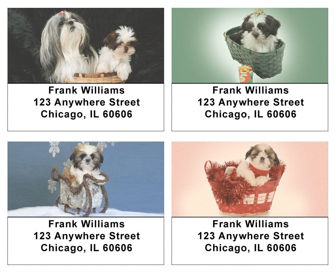Basket of Shih Tzus Address Labels